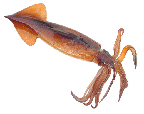 _20221216104108 _20221216104108