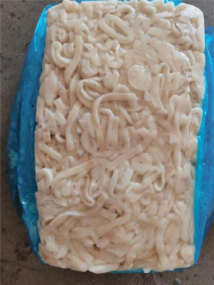 Frozen Broken Squid Ring