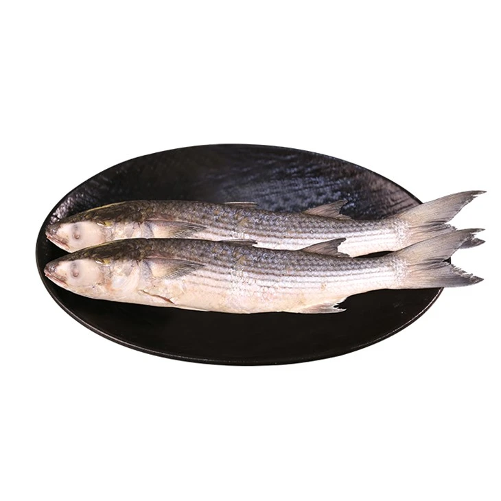 Tuam Tshoj Gutted Mullet