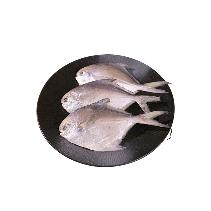 China Silver Pompano