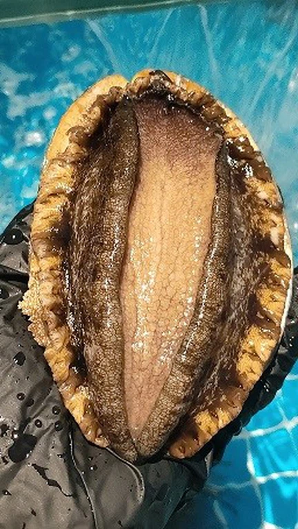 0WKqwsjf7V1MatgXO0Q2sqXfzu2pvdMrzYqRuCaTEd2qZAE3BvNJoWAgKtYkjAMe 0WKqwsjf7V1MatgXO0Q2sqXfzu2pvdMrzYqRuCaTEd2qZAE3BvNJoWAgKtYkjAMe