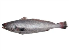 Khov croaker gutted